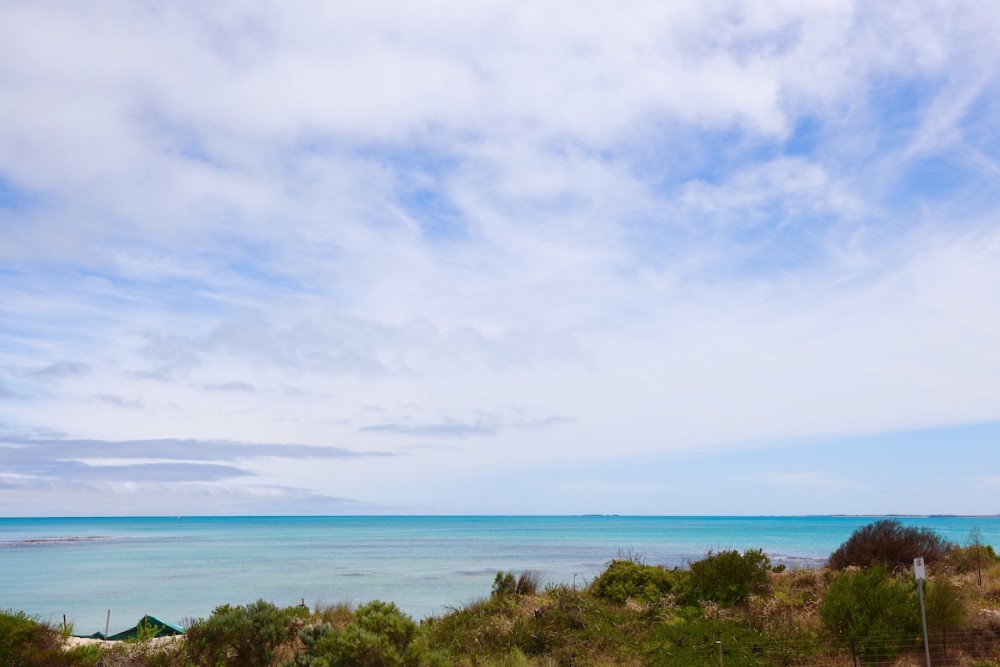 Baylys Reef — photo 16