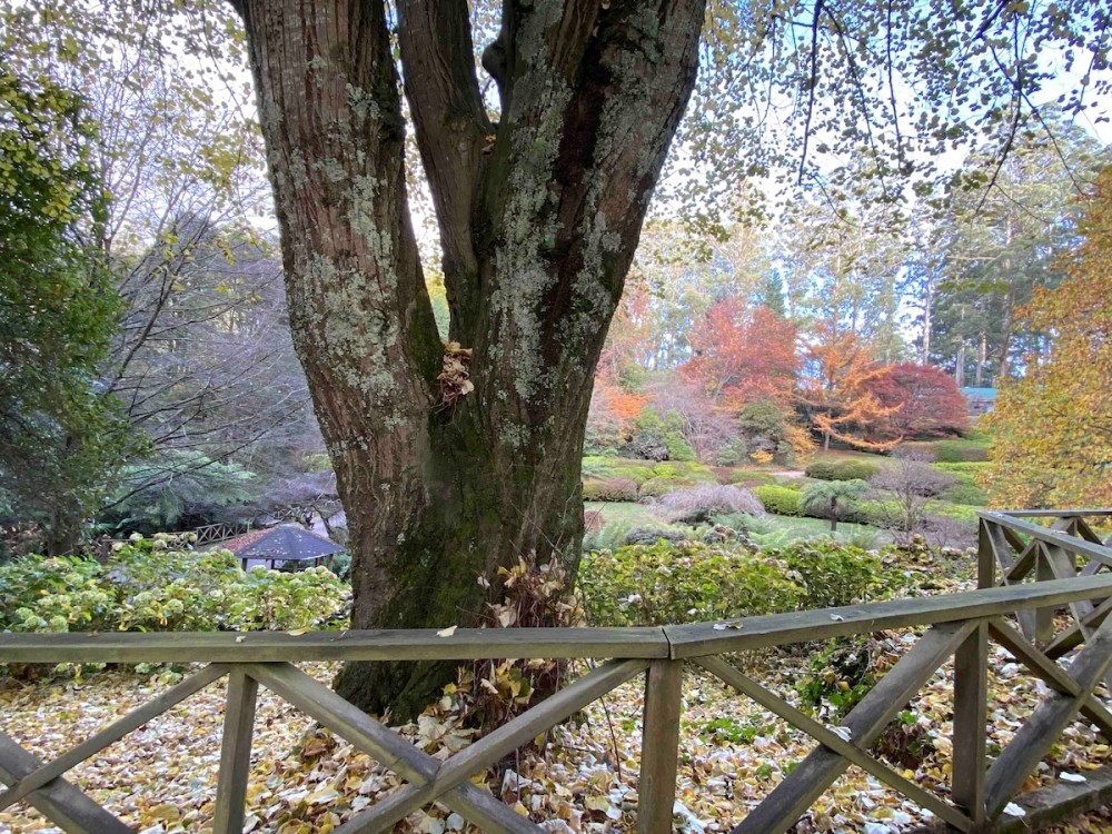 Gorgeous enchanted tower among nature with SPA — photo 22