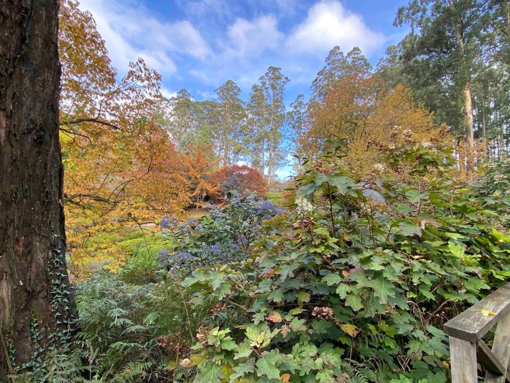 Gorgeous enchanted tower among nature with SPA — photo 20