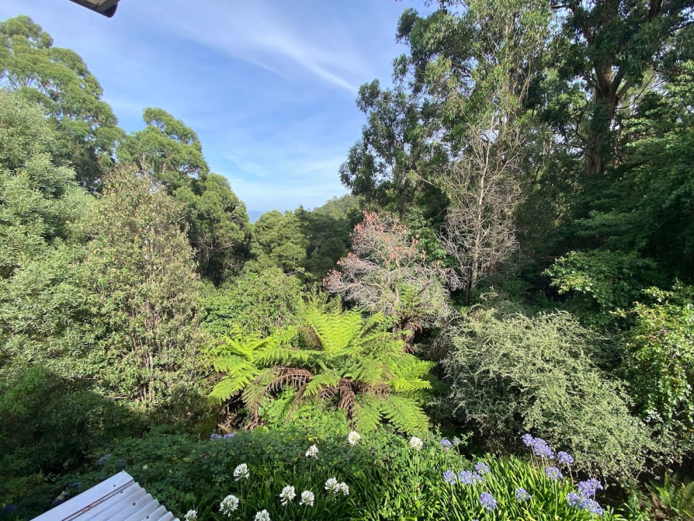 Gorgeous enchanted tower among nature with SPA — photo 19