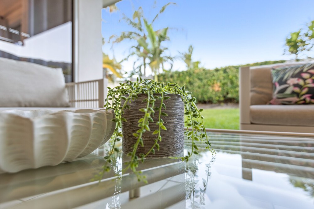 Palm Cove Hideaway | 4BR + Pet Friendly — photo 29