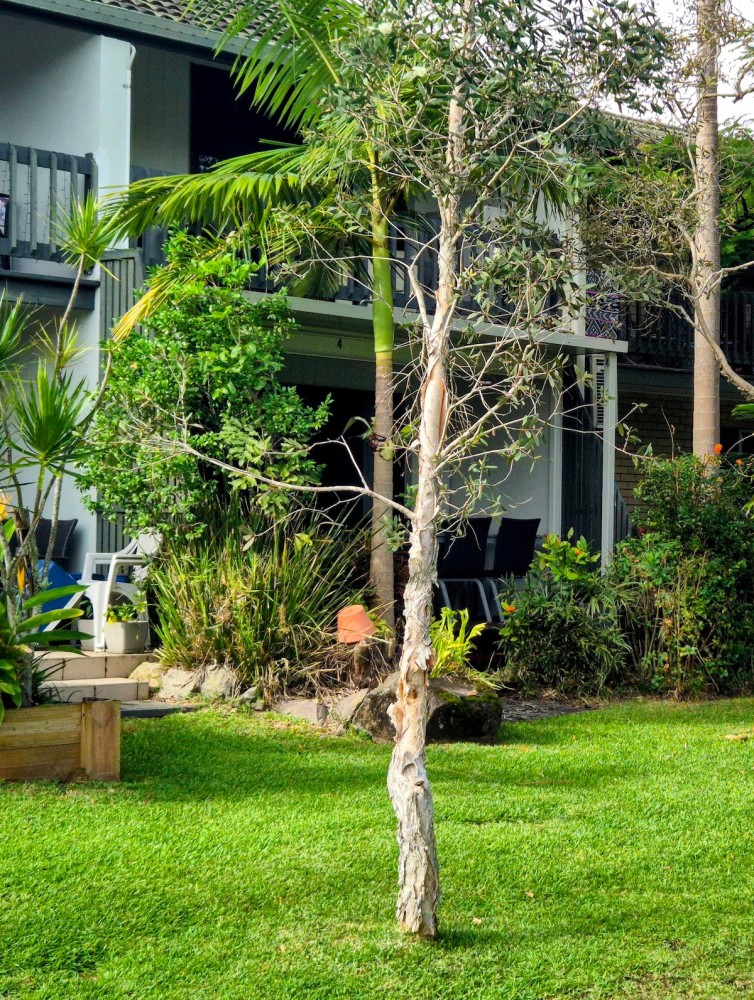 River front appartment Pet friendly — photo 10
