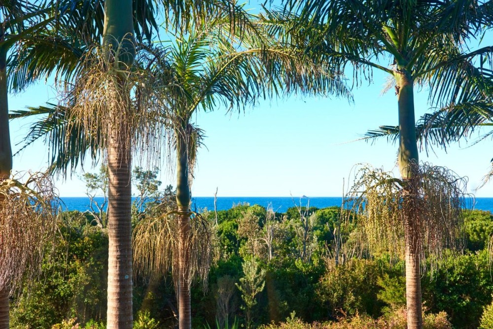 East Coast Escapes | Kiah10 — photo 43