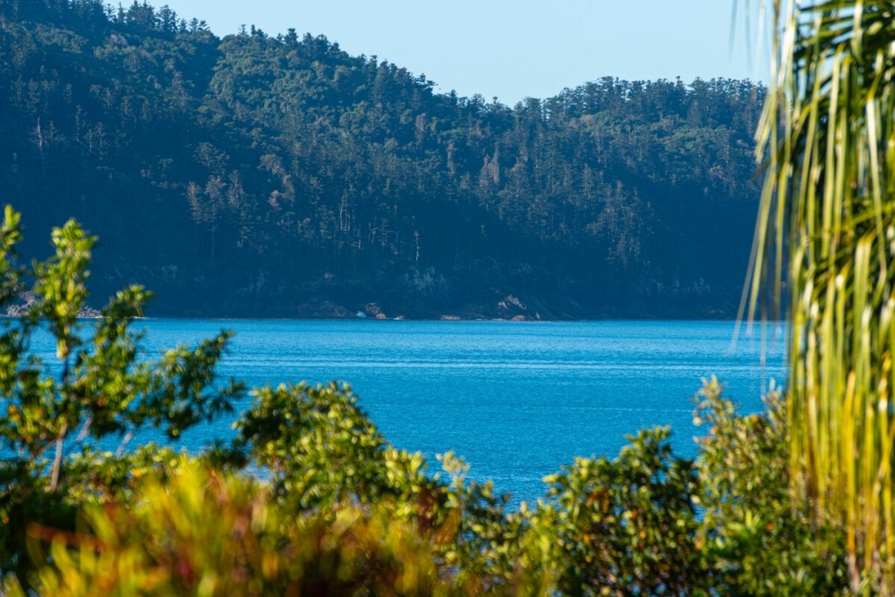 Lagoon 005 on Hamilton Island by HamoRent — photo 23