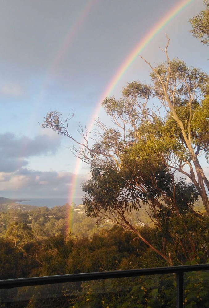 Blissful Valley Lookout - The home among the trees — photo 46