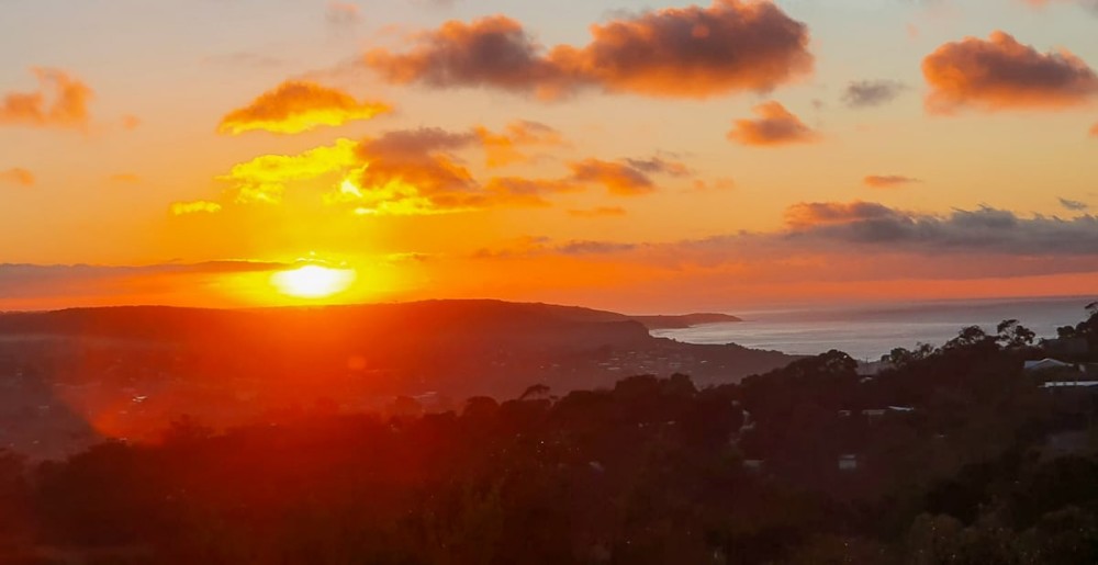 Blissful Valley Lookout - The home among the trees — photo 45