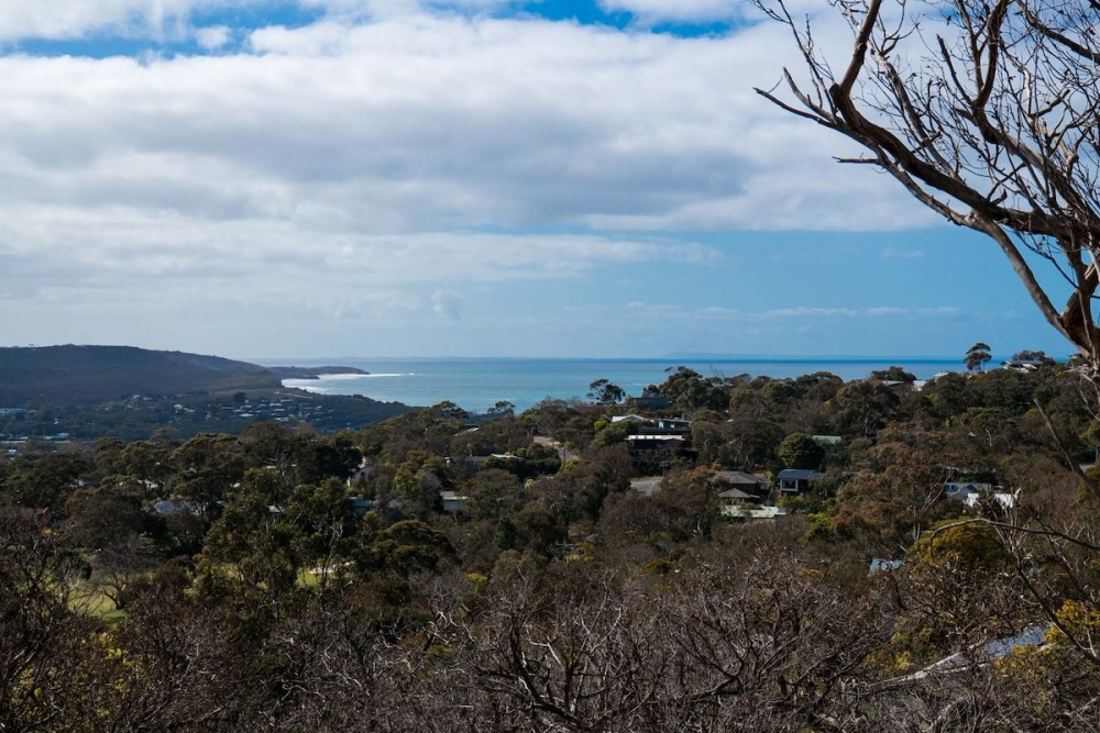 Blissful Valley Lookout - The home among the trees — photo 48