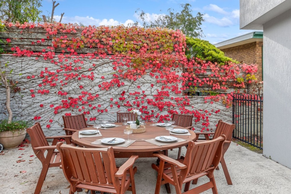 Panoramic Dreams - Lorne Holiday Stays — photo 14