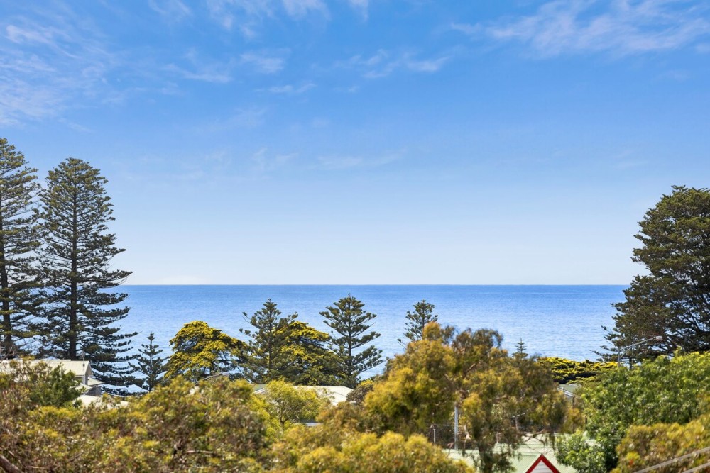 Prasino in Central Lorne — photo 12