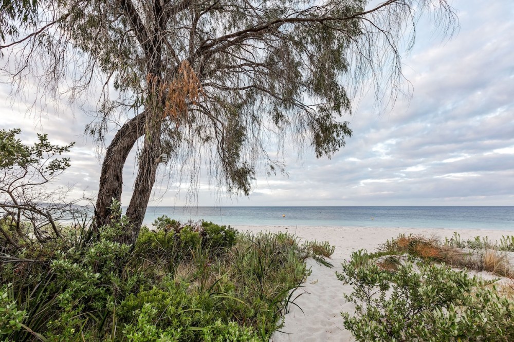 Driftwood Retreat — photo 35