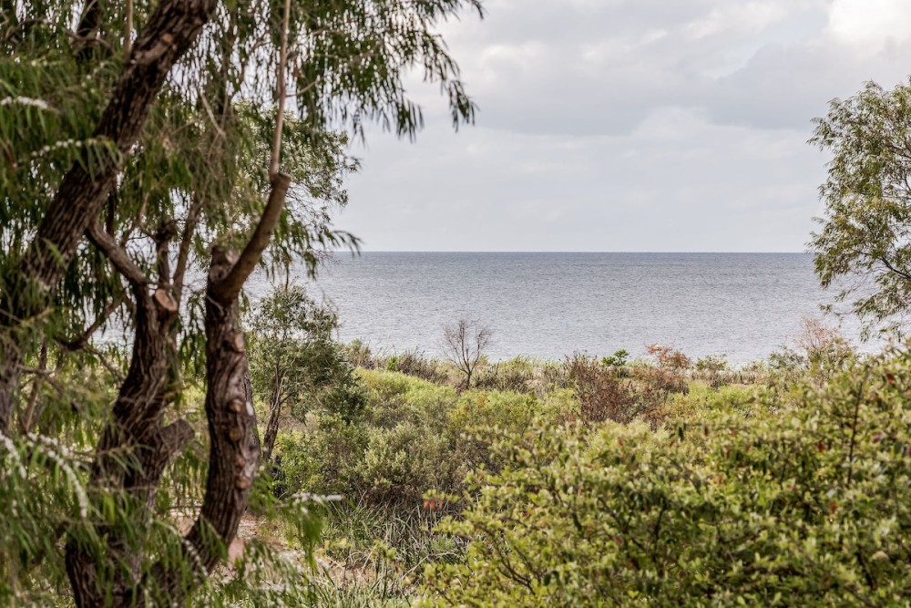 Driftwood Retreat — photo 36