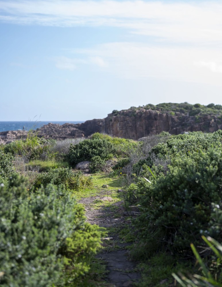 Coastal luxury, walk to beach! — photo 63