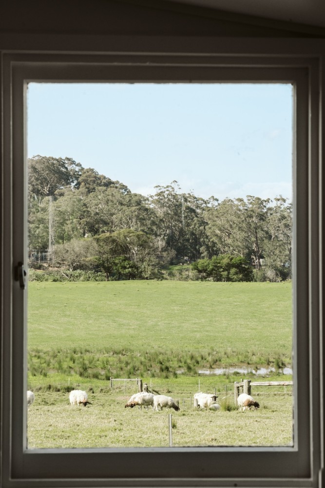 Timber Barn located on the Shoalhaven River — photo 29