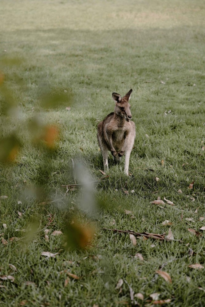 Lumiere Lakes in Lake Conjola — photo 147