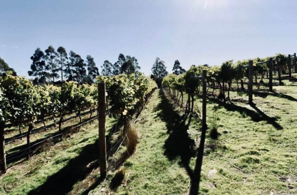 River Views & Wine Country — photo 24