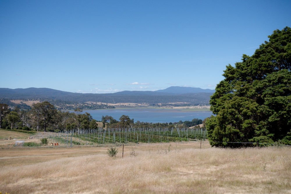 Farmhouse With Tamar River Views — photo 62