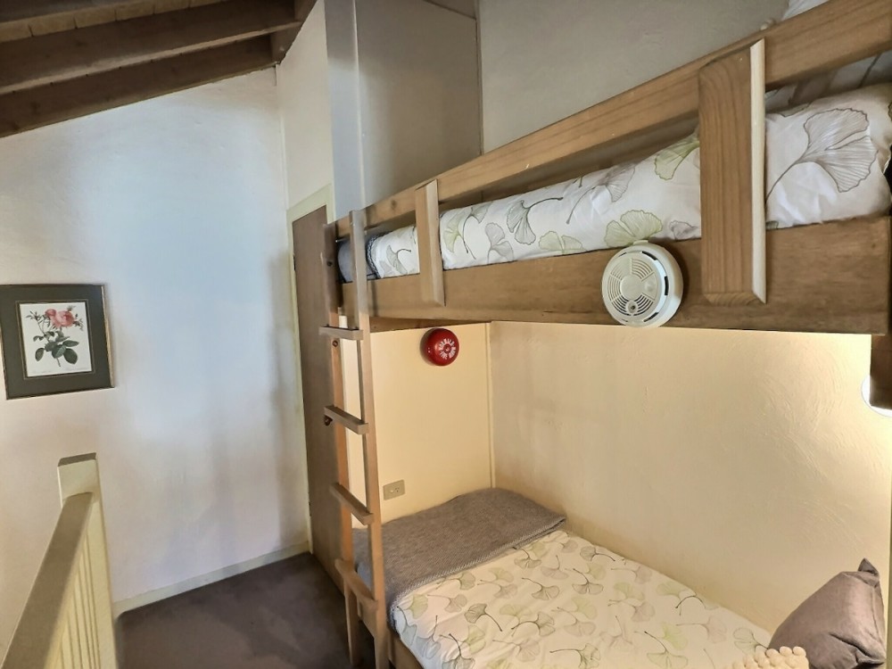 Silver Brumby Chalet — photo 8