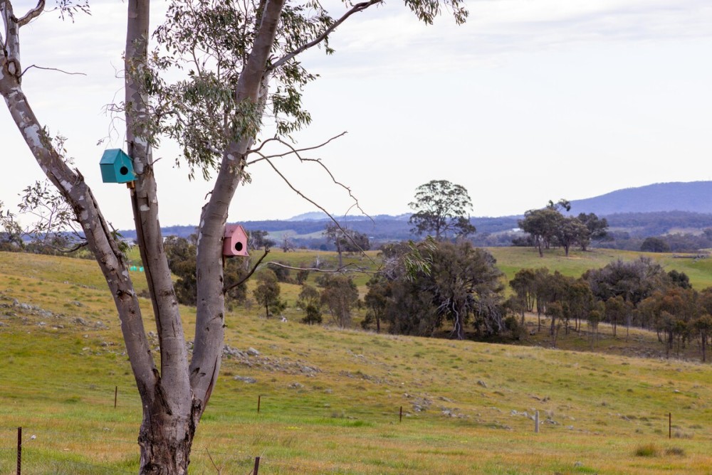 Mia Springs • Nature Oasis• Heathcote Wine Country — photo 30