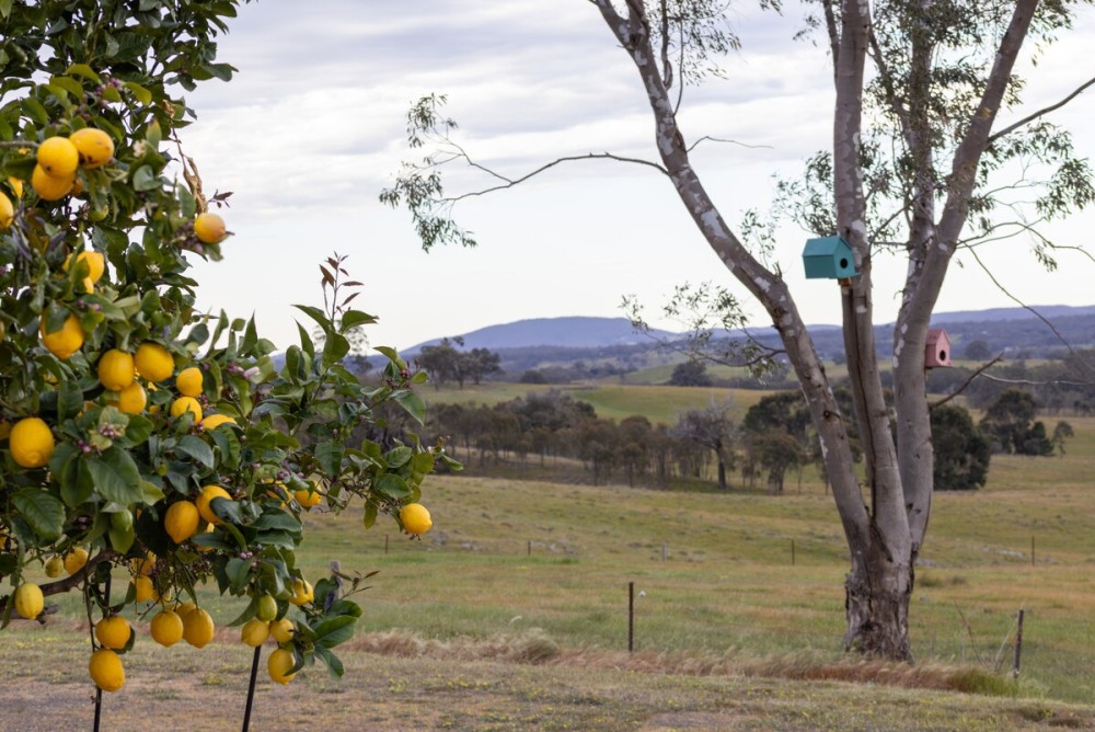 Mia Springs • Nature Oasis• Heathcote Wine Country — photo 26