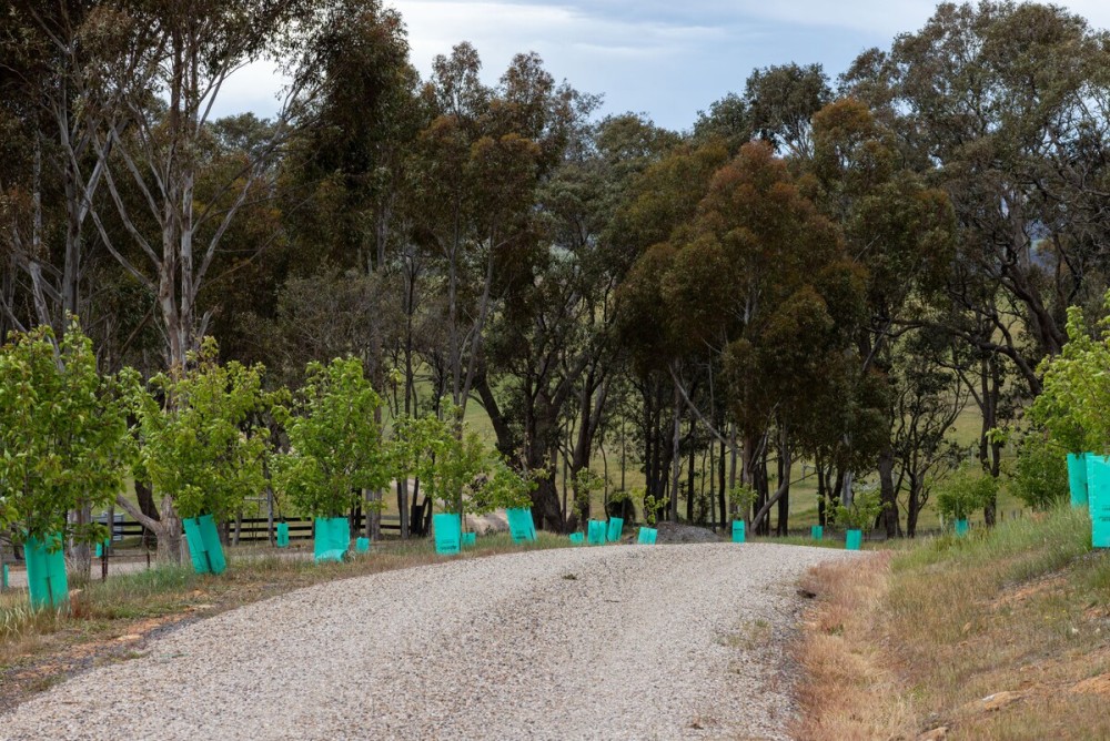 Mia Springs • Nature Oasis• Heathcote Wine Country — photo 29
