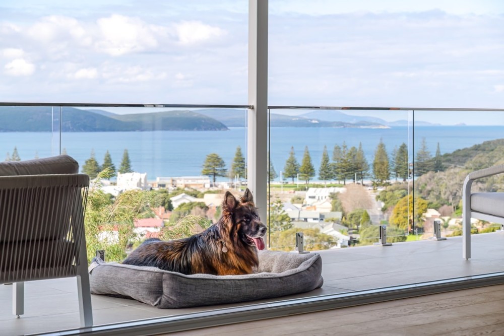 The View, Albany Holiday House — photo 10