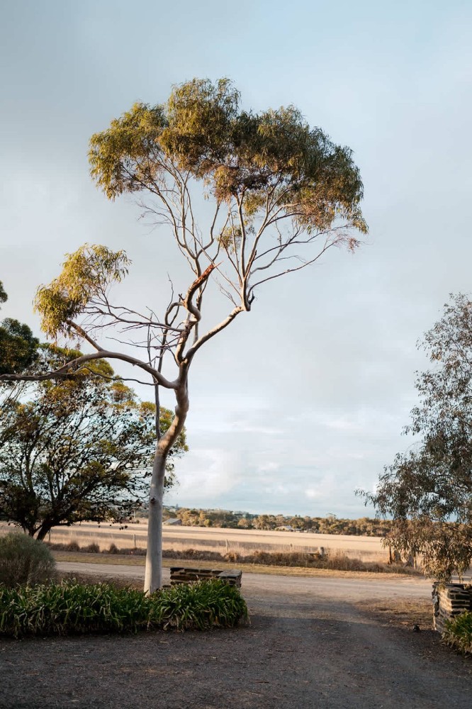 Romantic Cottage by the Sea | Port Elliot | Luxury — photo 58