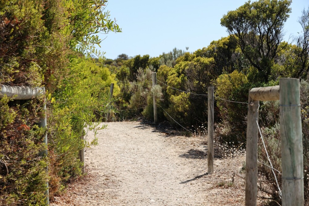 128 The Esplanade — photo 30