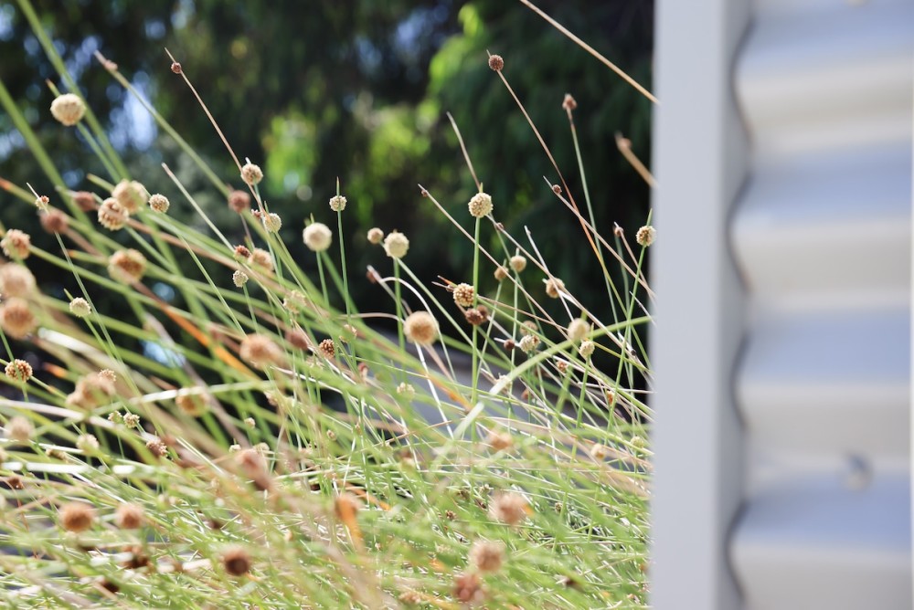 The Perch — photo 47