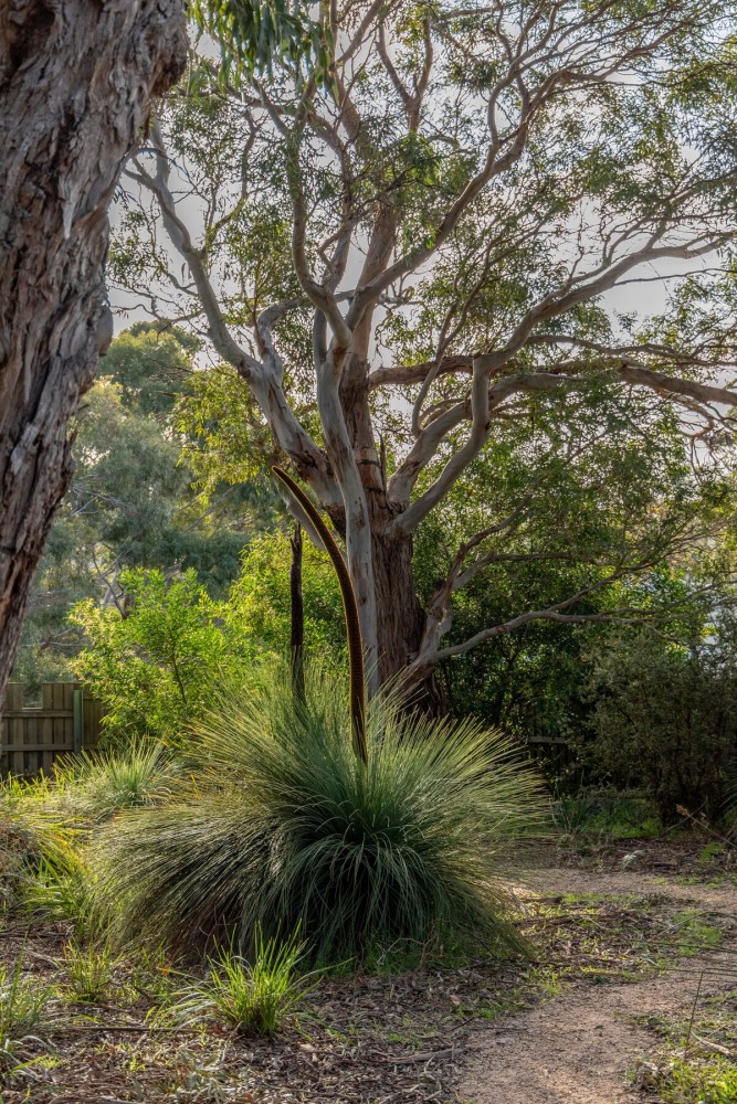Bush Hideaway — photo 23
