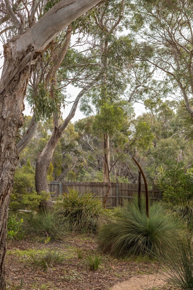 Bush Hideaway — photo 25