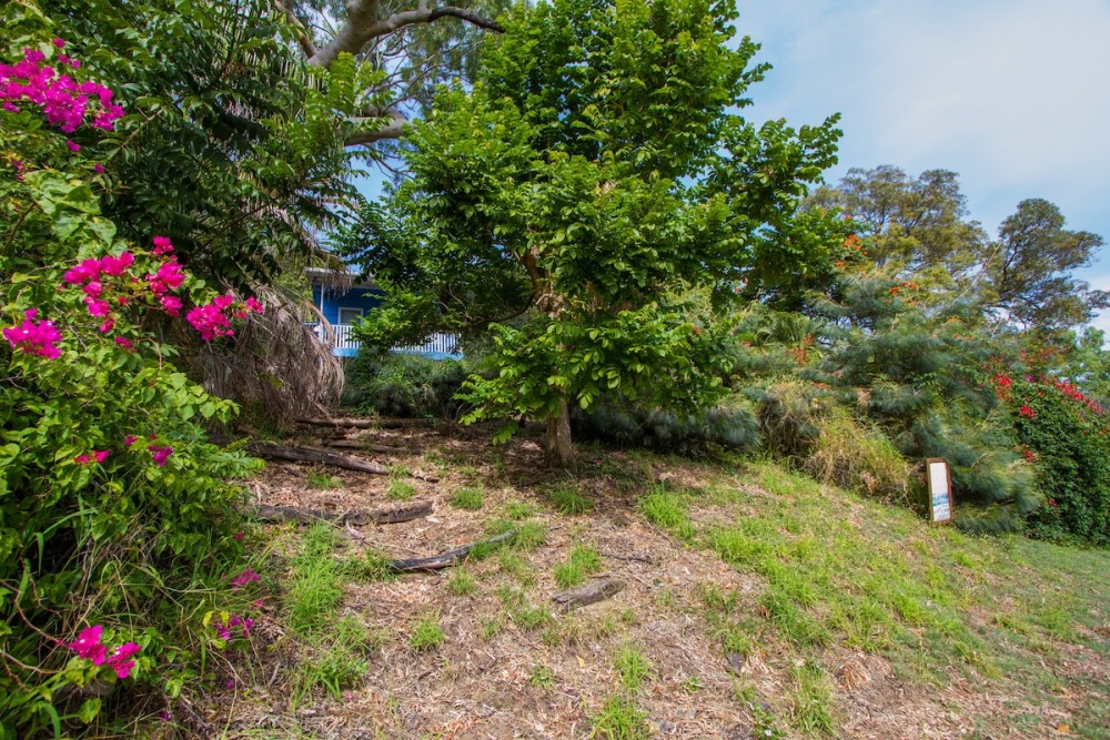 Pet-Friendly, Beachside Bliss at Sunset Villa — photo 15