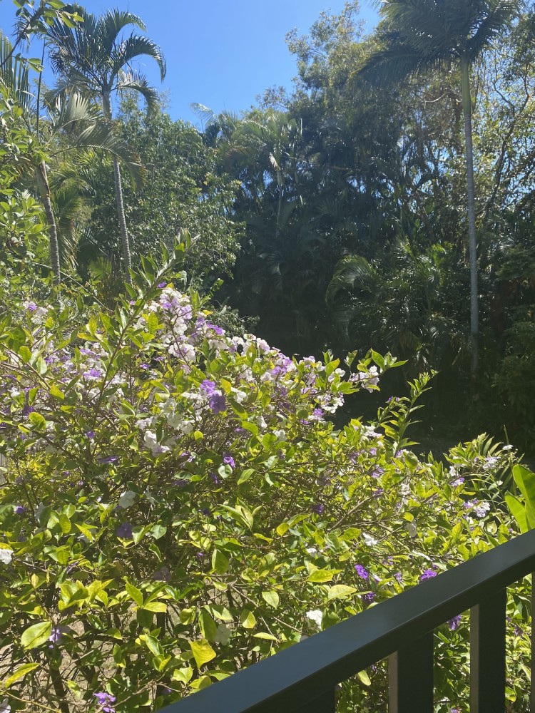 Merindah: Pet-Friendly, Coastal Living at its Best — photo 41