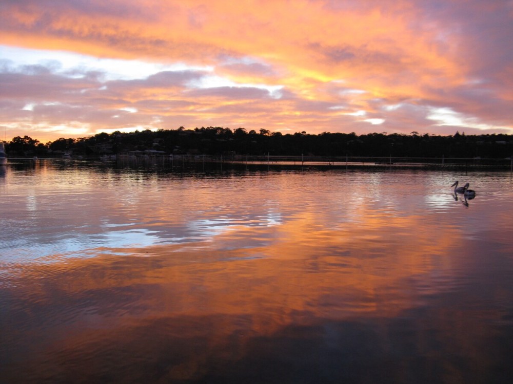 Capri Standard Apartments - Merimbula — photo 51