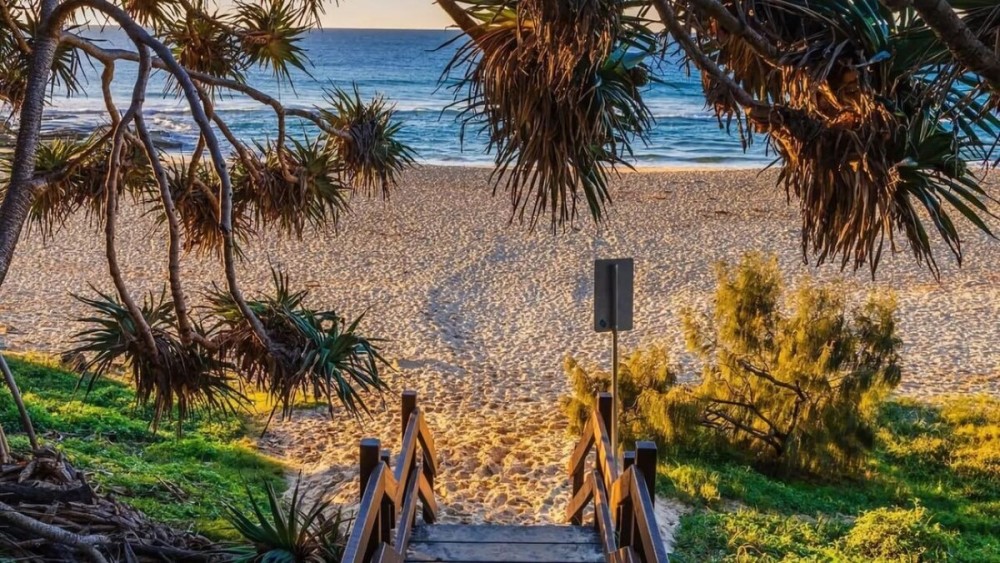 Tropical Escape – Sunshine Beach Retreat — photo 15
